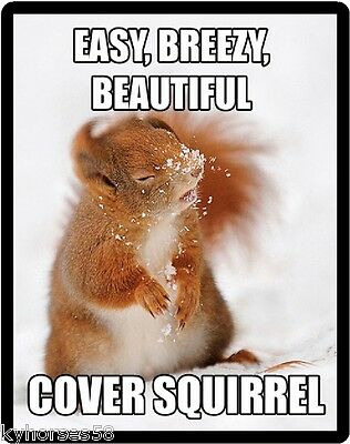 Funny Squirrel Humor Easy Breezy Cover Squirrel Refrigerator Magnet
