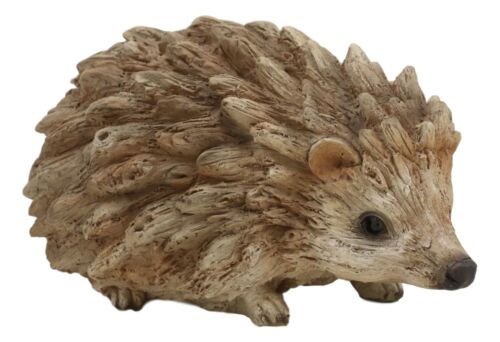 Realistic Animal Baby Hedgehog Garden Resin Statue In Rustic Driftwood Look