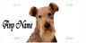 Airedale Terrier Personalized Any Name Novelty Car License Plate A1