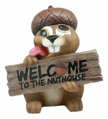 Large Crazy Squirrel With Acorn Hat Welcome To The Nuthouse Guest Greeter Statue